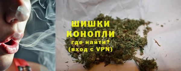 ГАЛЛЮЦИНОГЕННЫЕ ГРИБЫ Нея