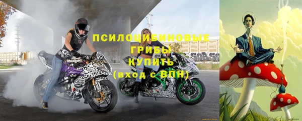 ГАЛЛЮЦИНОГЕННЫЕ ГРИБЫ Нея