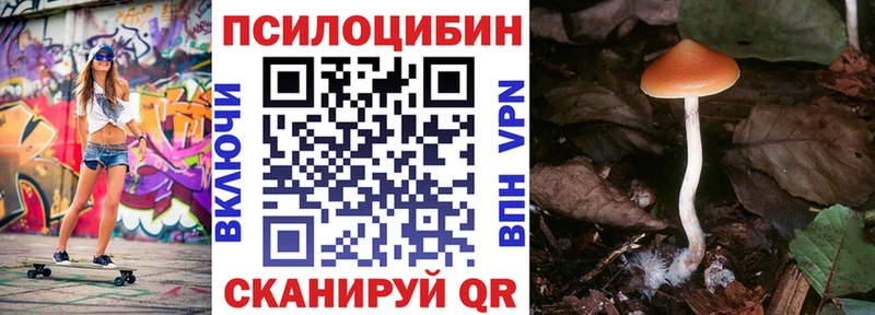 Галлюциногенные грибы Cubensis  ссылка на мегу tor  Петрозаводск 