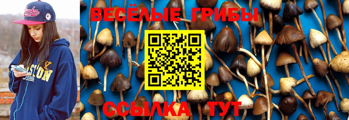 Псилоцибиновые грибы прущие грибы Петрозаводск