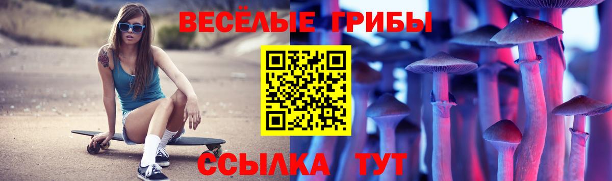 где можно купить   Псилоцибиновые грибы Psilocybe  Вход с VPN  Петрозаводск  Псилоцибиновые грибы мицелий 