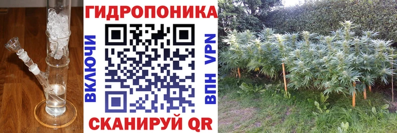 где можно купить   Петрозаводск  Шишки марихуана MAZAR 
